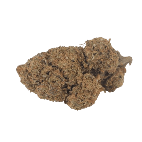 Blueberry