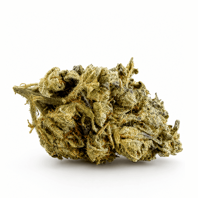 Gorilla 1gr Fleurs