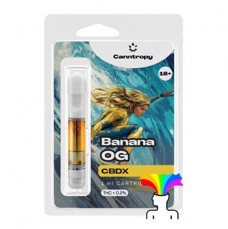 Recharge Pen MSX Koma