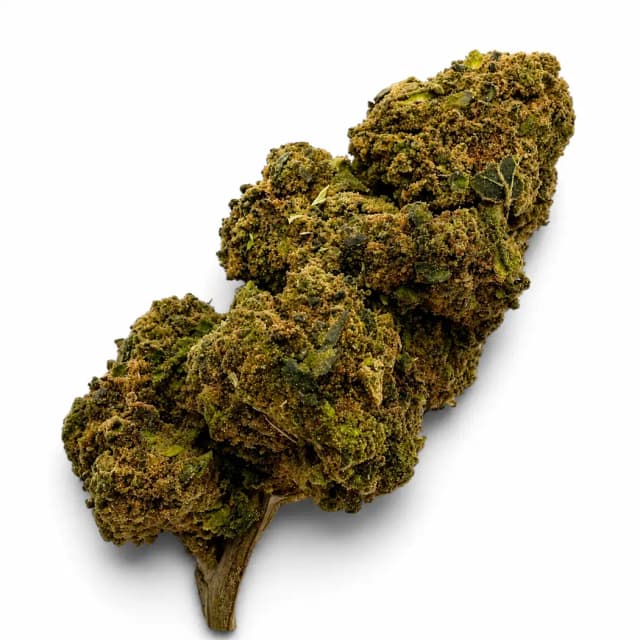 Master Kush D10