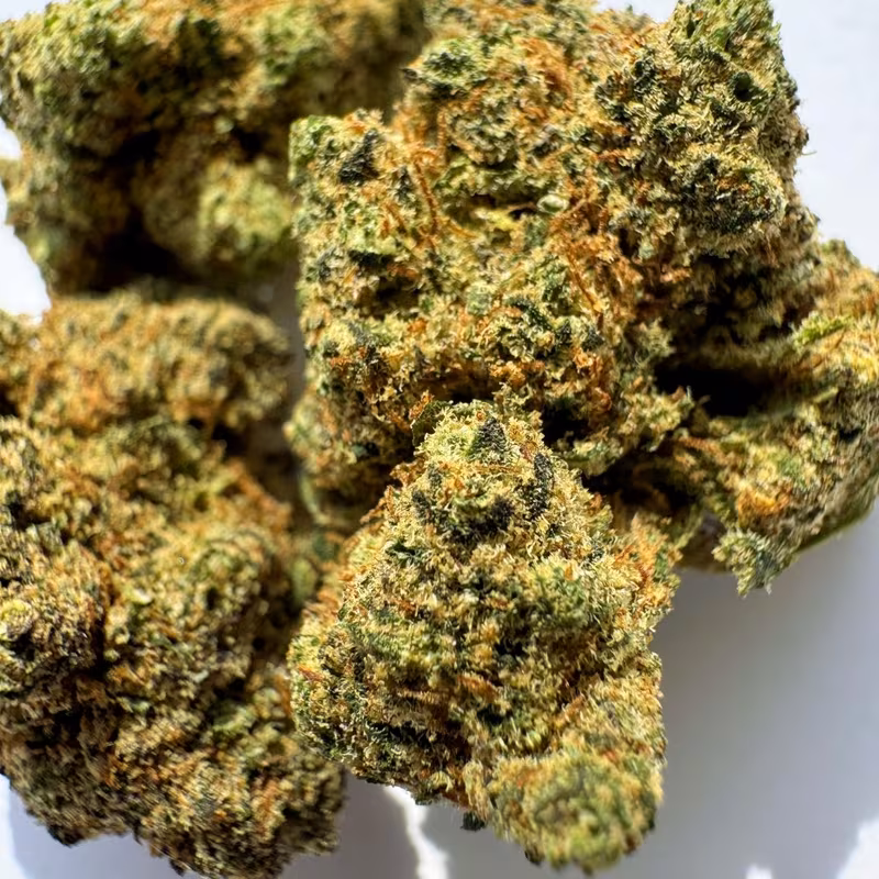 TNT MANGO – Fleurs Molécule | Mr.Green