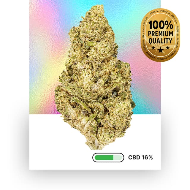 Plutonium Caliweed