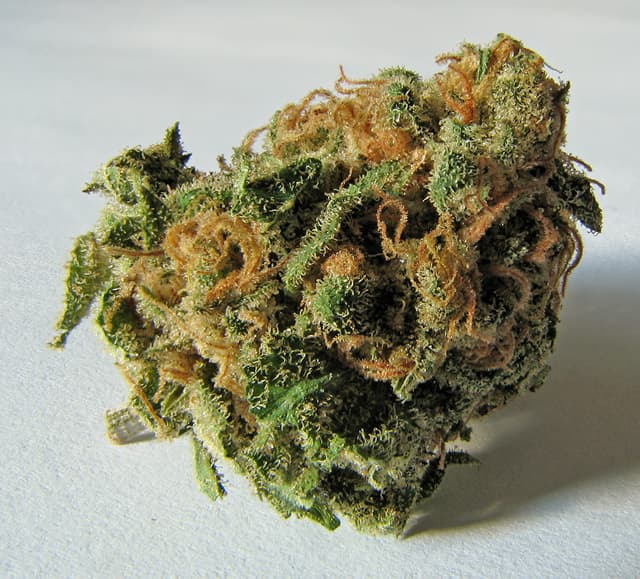 V+ Caliweed