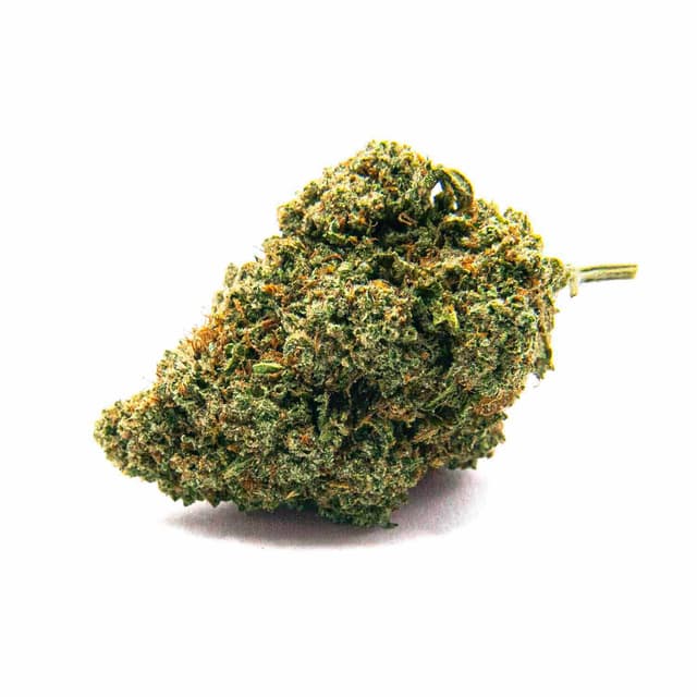 Master Kush CBD – Fleurs CBD | Mr.Green